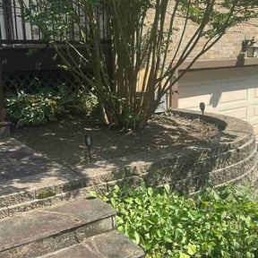Landscaping by Sosa's Lawn Care & Design LLC reviewed on November 15, 2024