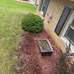Flower Bed Weeding by BluGrass Groomers Lawn Care reviewed on June 3, 2022