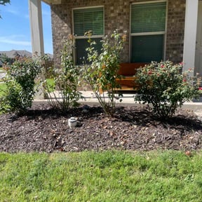 Weeding by J&j lawn care reviewed on July 19, 2022