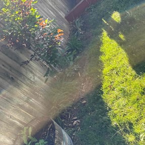 Leaf Removal by Yards Done Daily reviewed on January 3, 2022