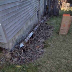 Bush Trimming by Lawn Salon Property Management LLC reviewed on February 17, 2022