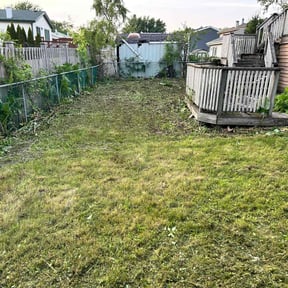Cleanups by LV Lawn Care reviewed on July 19, 2022