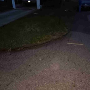 Bush Trimming by Ezcuts complete lawncare reviewed on April 18, 2022