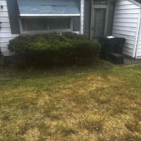 Bush Trimming by SunnySide Servicing reviewed on May 17, 2022