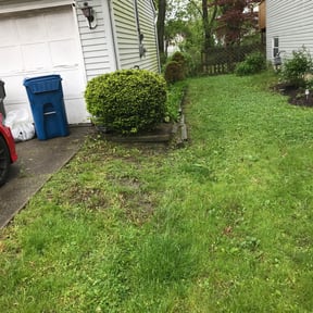 Cleanups by LA Grounds LLC reviewed on October 22, 2022