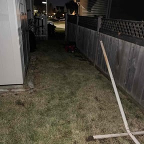 Leaf Removal by Cangelosi lawn reviewed on June 16, 2022
