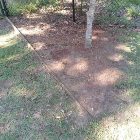 Flower Bed Weeding by CLCLLC reviewed on July 13, 2022