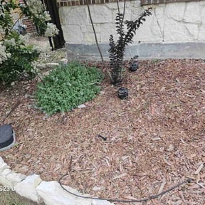 Landscaping by Grass advanced reviewed on September 16, 2024