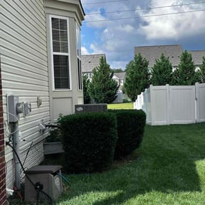 Bush Trimming by Pearl's Cleaning Angels reviewed on May 2, 2025