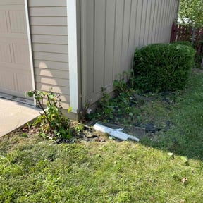 Bush Trimming by Byers Lawn reviewed on May 23, 2022