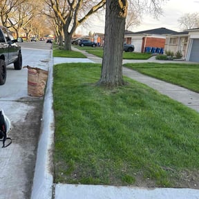 Leaf Removal by Tragic Repairs LLC reviewed on October 13, 2022