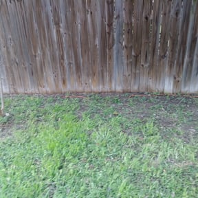 Cleanups by Frontier Lawns reviewed on August 1, 2024