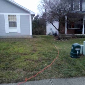 Leaf Removal by Lie=less Lawncare& Home Improovement reviewed on July 4, 2025