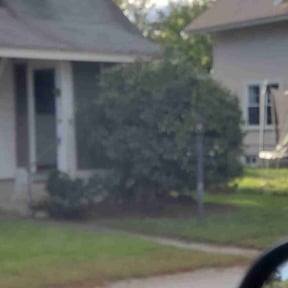 Bush Trimming by KingWay outdoor/inside lawn service, flowersbeds,pressure wash,painter reviewed on February 1, 2022
