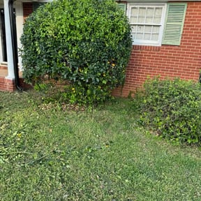 Bush Trimming by Mlt lawns LLC reviewed on August 4, 2025