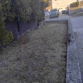 Leaf Removal by GarcÃa-G lawn care service LLC reviewed on June 8, 2022
