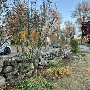 Leaf Removal by Clean cut lawn care reviewed on March 31, 2020