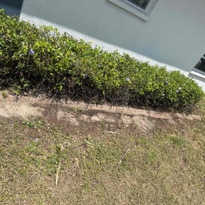 Bush Trimming by Fred Peyronel reviewed on July 9, 2022