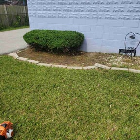 Bush Trimming by Green line reviewed on June 5, 2025