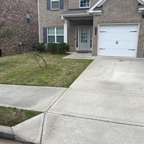 Bush Trimming by Townsend boyz services reviewed on August 29, 2024