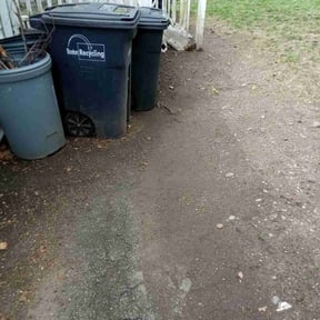 Cleanups by Louie services reviewed on August 4, 2022