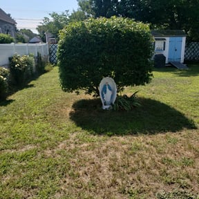 Bush Trimming by D&k Taylor lawn care reviewed on May 18, 2022