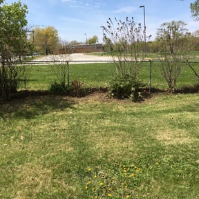 Leaf Removal by Lo Lo's Landscaping reviewed on July 6, 2022