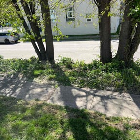 Mulching by S & G Landscaping Inc reviewed on April 24, 2022
