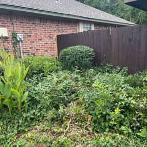 Bush Trimming by Double F Lawns reviewed on April 21, 2025