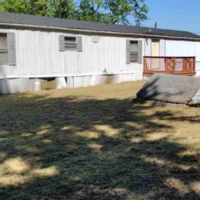 Bush Trimming by Js Lawn Care reviewed on November 15, 2024