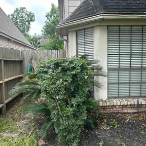 Bush Trimming by Beyond Green Landscaping reviewed on July 23, 2022