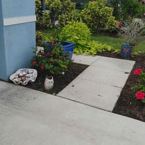 Flower Bed Weeding by JALER LLC reviewed on March 7, 2025