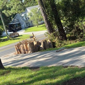 Bush Trimming by Creative Lawn Cuts &amp; Landscaping reviewed on June 24, 2025