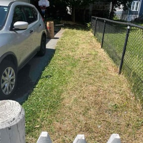 Leaf Removal by Triple S Cuts & Cleanouts reviewed on May 2, 2022