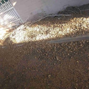 Leaf Removal by Wgm landscaping reviewed on July 14, 2022