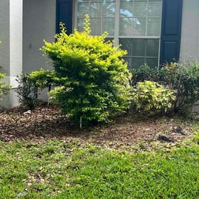 Flower Bed Weeding by Efrain Marrero reviewed on November 18, 2022