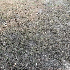 Cleanups by Grasshopper Design reviewed on July 18, 2019