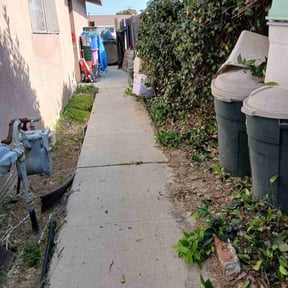 Bush Trimming by The Green Guys reviewed on May 29, 2025