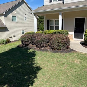 Bush Trimming by Luxury Finish Lawn care reviewed on May 24, 2022