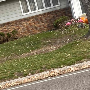 Cleanups by Turf and Grounds reviewed on August 26, 2024