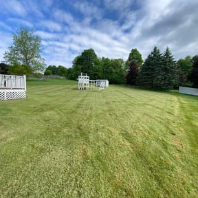 Cleanups by Martins property care reviewed on August 14, 2025