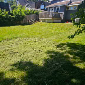 Cleanups by Lawn Hub reviewed on May 18, 2022