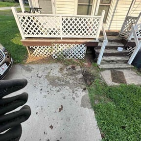 Leaf Removal by We Talk Lawn and Tree reviewed on November 22, 2024