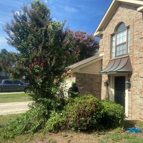 Bush Trimming by Everus lawn care reviewed on June 4, 2022