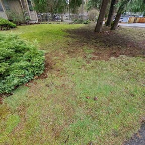 Leaf Removal by SRC Lawn Care reviewed on June 24, 2022
