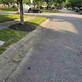Bush Trimming by Yard Dr. LLC reviewed on June 2, 2022