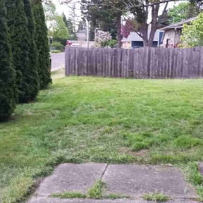 Cleanups by Al Vazquez Landscape Maintenance LLC. reviewed on September 6, 2024