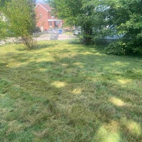 Cleanups by Edged2The Tee reviewed on May 5, 2025