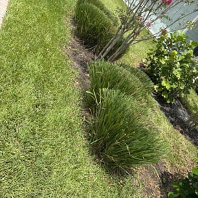 Bush Trimming by Ethan lawn care reviewed on July 8, 2022
