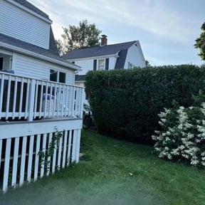 Bush Trimming by Jose&Jose Landscaping reviewed on June 26, 2022